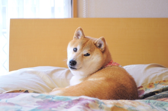 みんな一緒に_a0126590_22315271.jpg