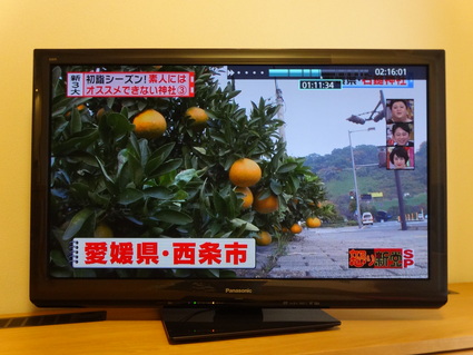 素人にはオススメできない神社〜石鎚神社〜_b0211091_13592664.jpg