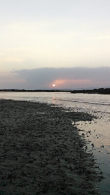 d0305493_1053771.jpg