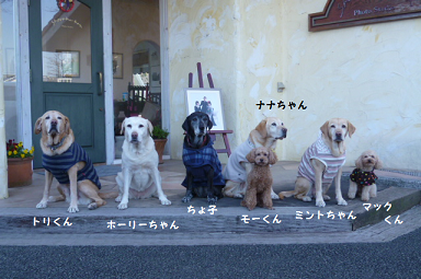 d0282395_19161199.png