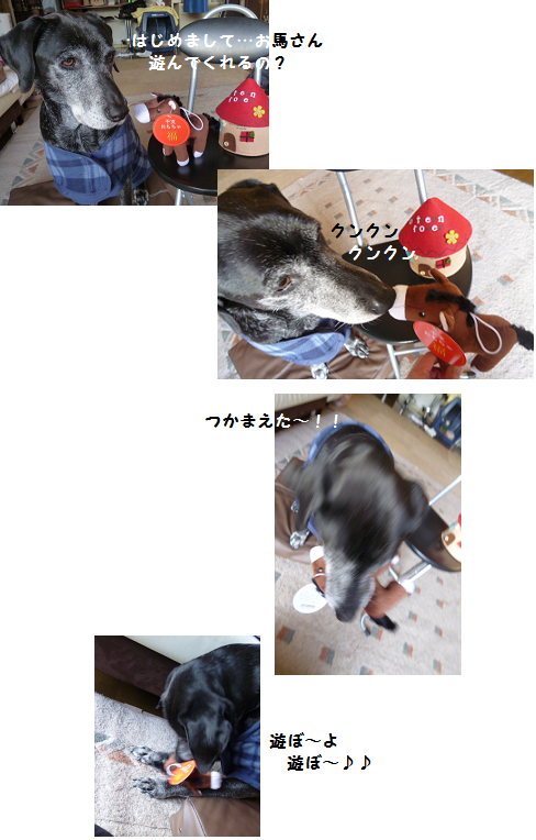 d0282395_19165465.png