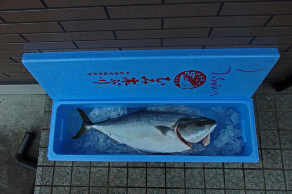今年の〆です_b0024798_14291939.jpg