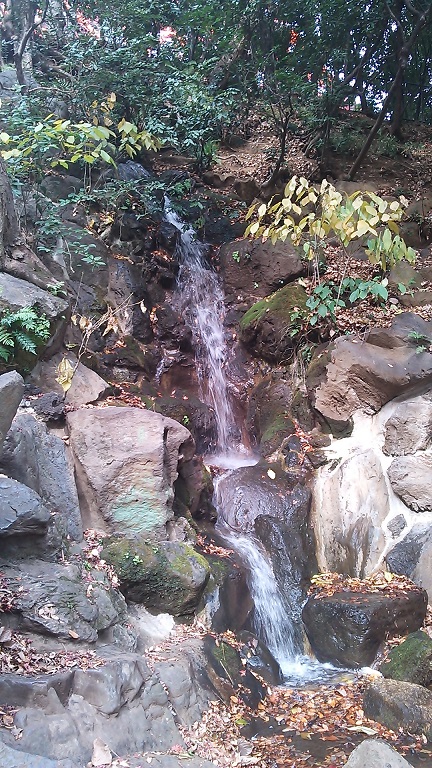 a0057402_22325411.jpg