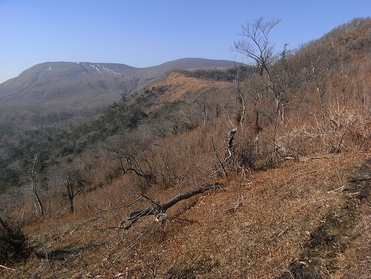 f0187402_13415081.jpg