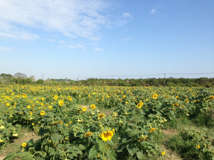 あけましておめでとうございます_d0225603_10113881.jpg