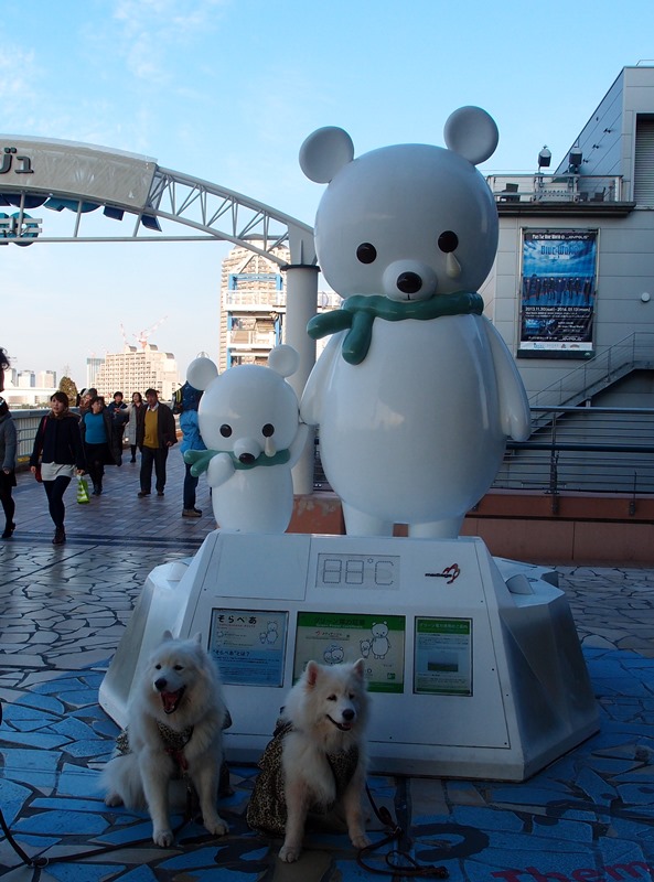 お台場　１月４日　[土]_e0018604_09302693.jpg