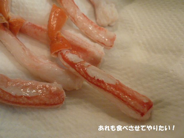 e0094407_5151784.jpg