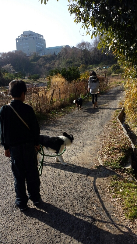f0246611_0213939.jpg
