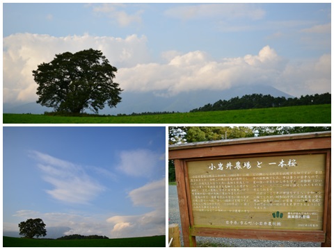 f0046614_16491996.jpg