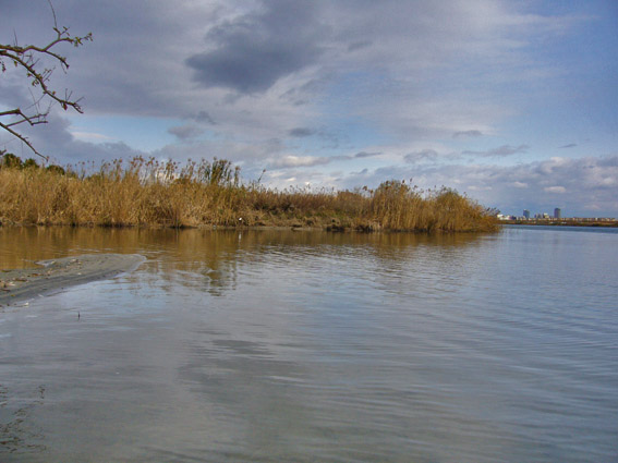c0322015_147336.jpg