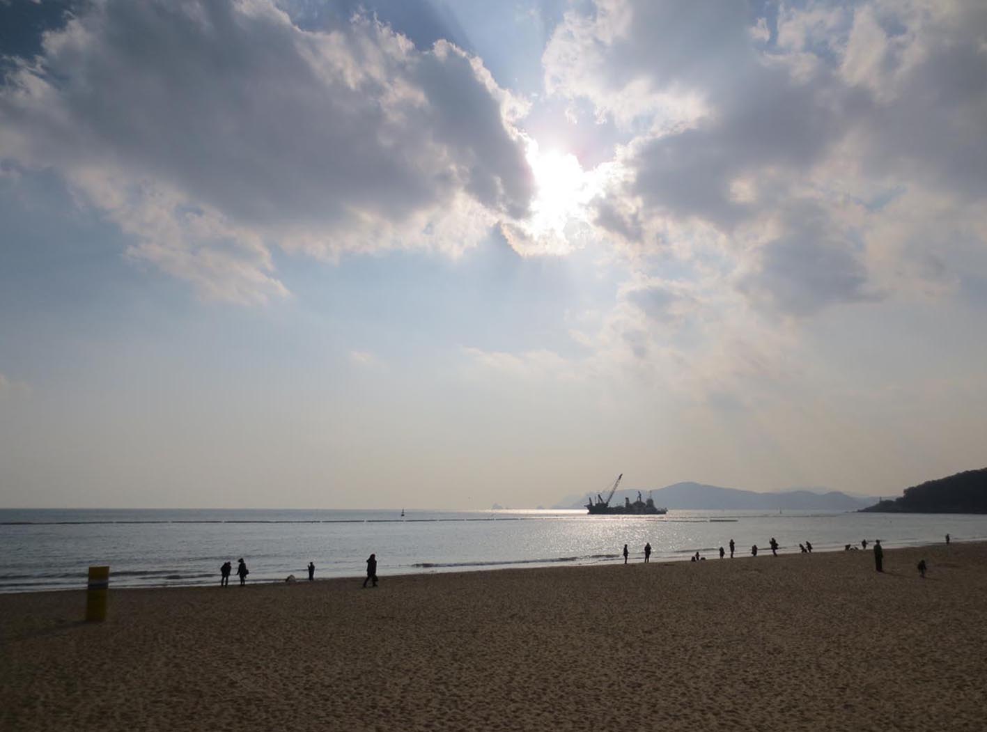 ■釜山一泊行──幻の豚足スライス_d0190217_21353822.jpg