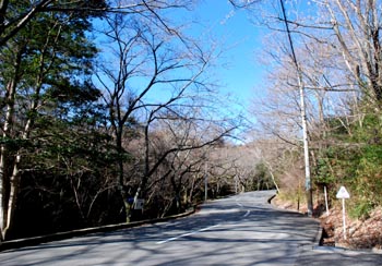 e0103024_16144882.jpg