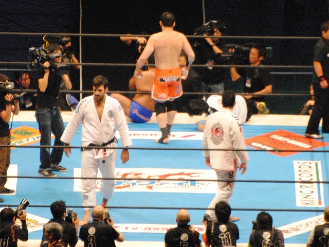 新日本プロレス「WRESTLE KINGDOM 8 in 東京ドーム」_b0000829_10585034.jpg