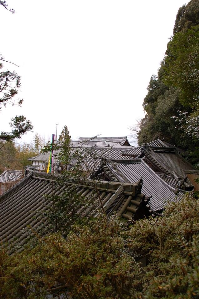 b0097729_17272147.jpg