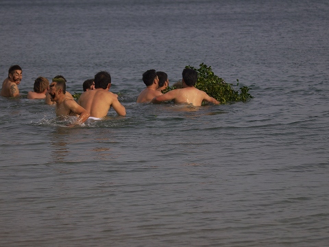 c0077531_16383970.jpg
