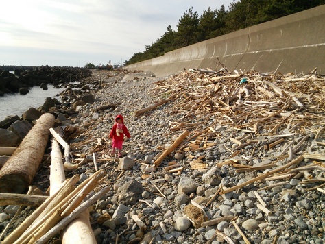 街道をゆく…世界遺産の七里御浜を歩く_c0010936_16295576.jpg