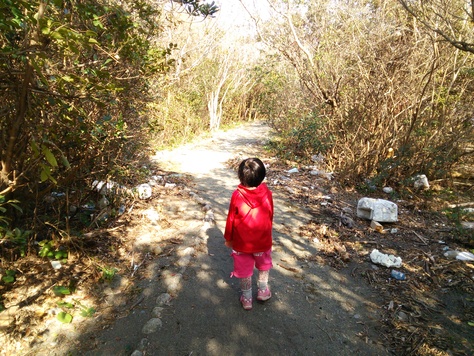 街道をゆく…世界遺産の七里御浜を歩く_c0010936_16434859.jpg