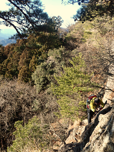 2014年01月05日（日）：鍬柄岳と大桁山_b0032437_1744825.jpg