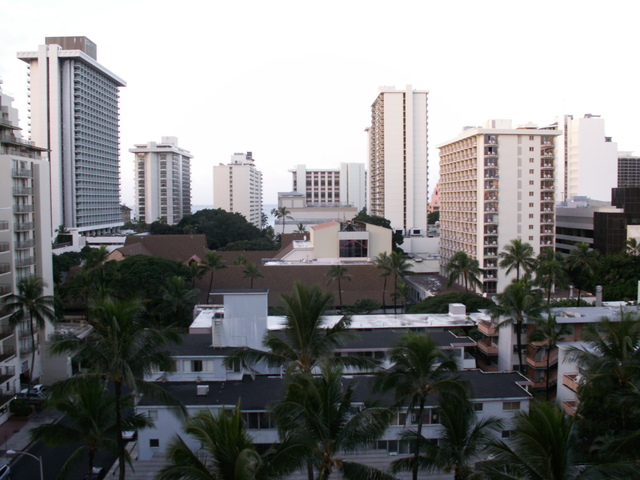 b0139239_17194774.jpg