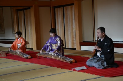 新年あけましておめでとうございます!_c0085539_912364.jpg