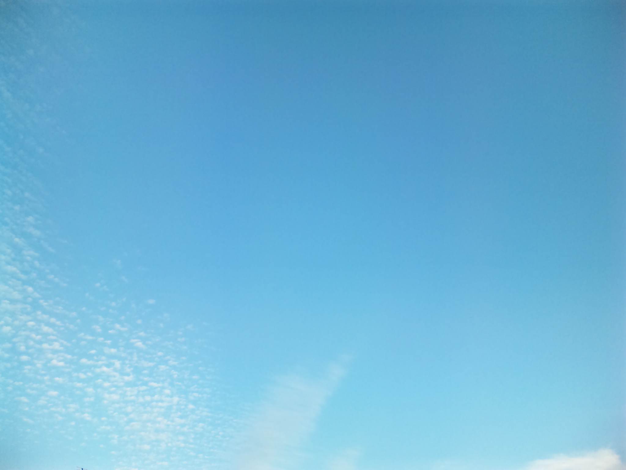 blog;募金完了のお知らせ_a0103940_21434360.jpg