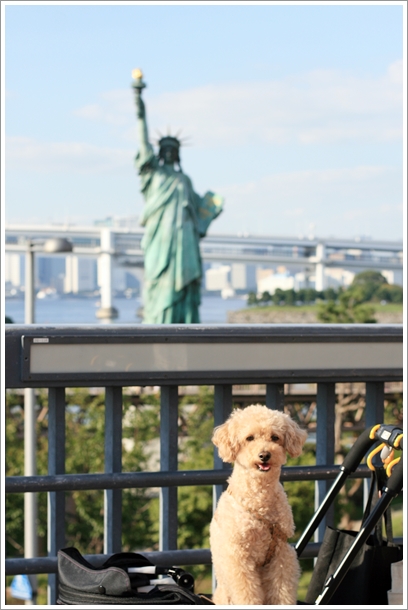 【お台場】 お台場海浜公園でワンワンお散歩！_c0311342_20163793.jpg