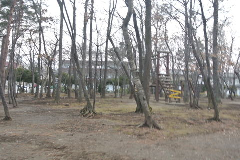 e0121548_2024454.jpg