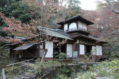 初春　横浜三溪園_f0000459_14414999.jpg