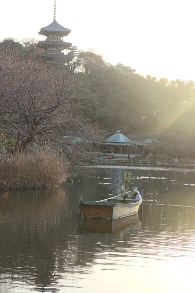 初春　横浜三溪園_f0000459_15231.jpg