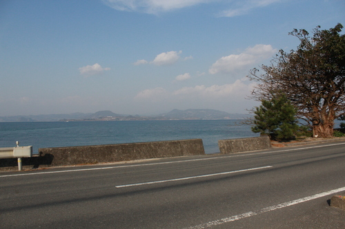 a0193460_331632.jpg