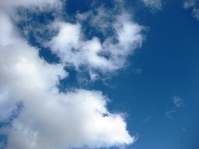 c0190960_912217.jpg