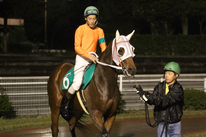 2013年11月3日（日） 高知競馬 8R C3-7選抜馬_a0077663_15494893.jpg