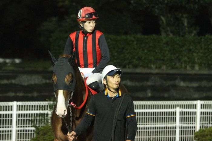 2013年11月3日（日） 高知競馬 8R C3-7選抜馬_a0077663_15495464.jpg