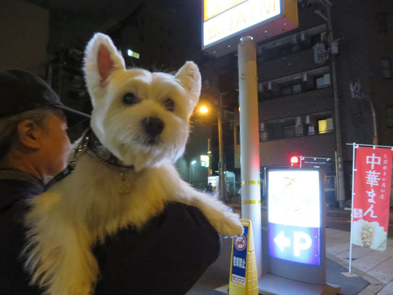 2014年、初トリミング。_b0107163_15211175.jpg