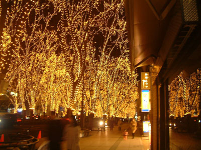 c0050264_122349.jpg
