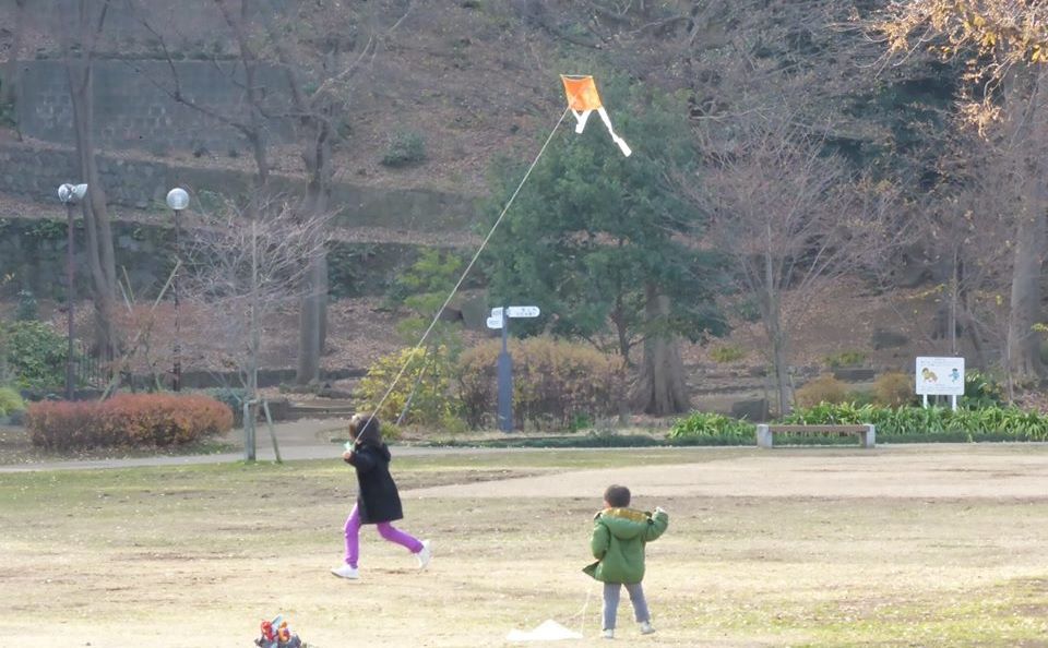 東京タワーと増上寺_c0100865_07302936.jpg