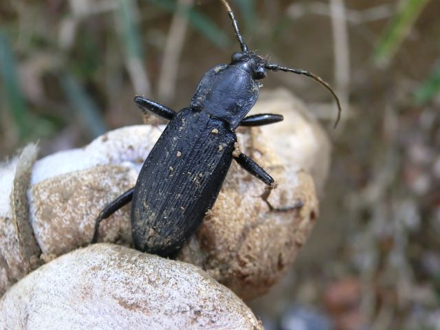b0178466_9244549.jpg