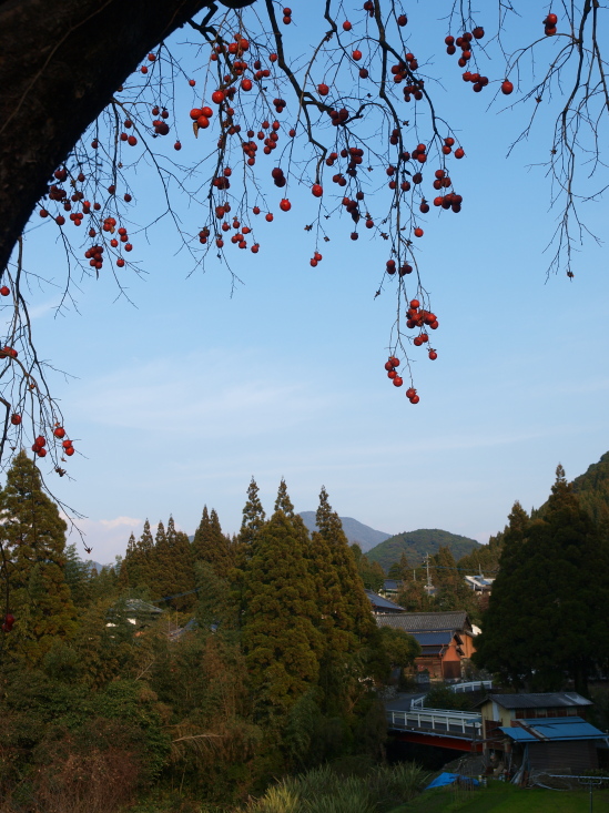 初春の風景～2_a0260570_14141278.jpg