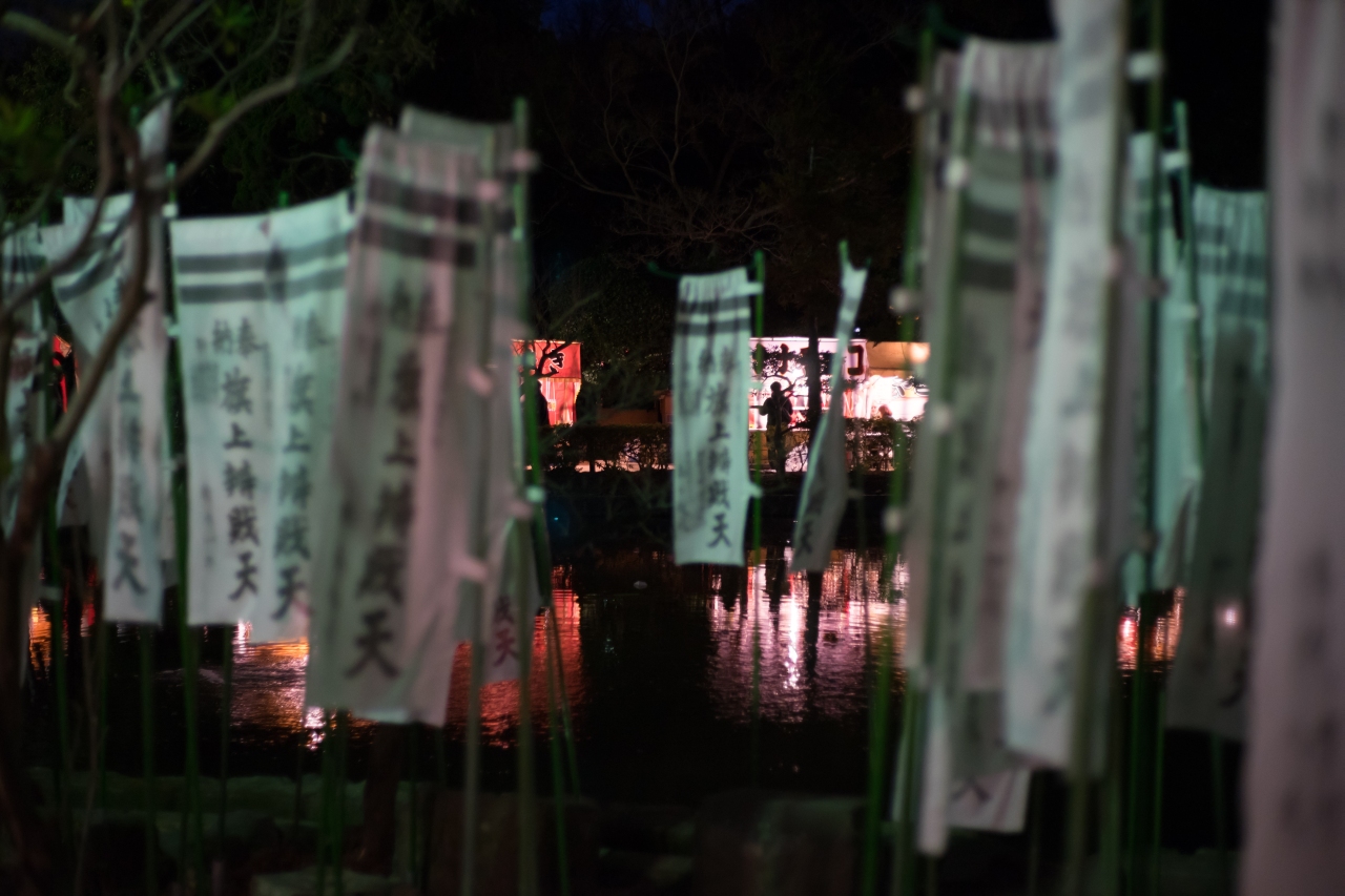 今年も鶴岡八幡宮(2)_c0112872_08372633.jpg