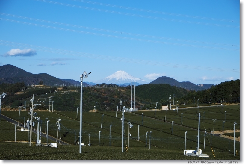 c0054876_16364652.jpg