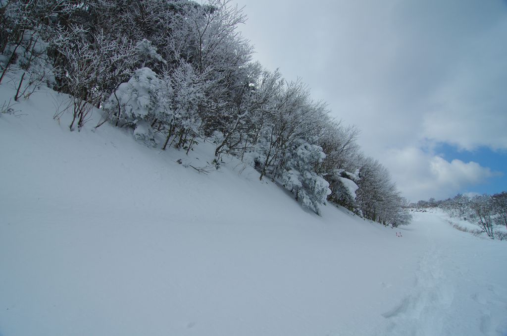 e0152576_2164557.jpg