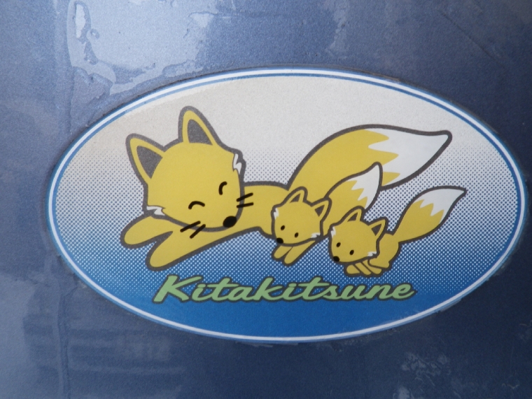 キタキツネキタ W ハナ モナ キタキツネキタ W ハナ モナ