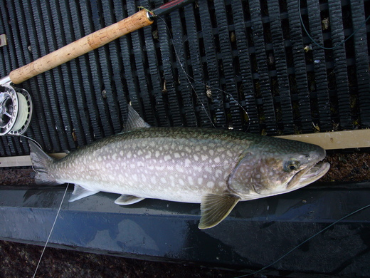 a0118989_23173290.jpg