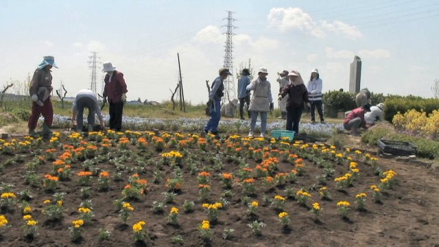 市民公益活動体験の場として選ばれました。_d0257693_8175557.jpg