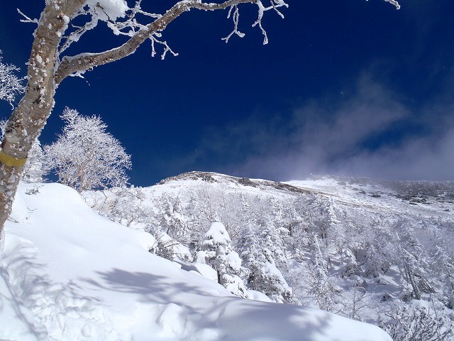 c0147398_1247762.jpg