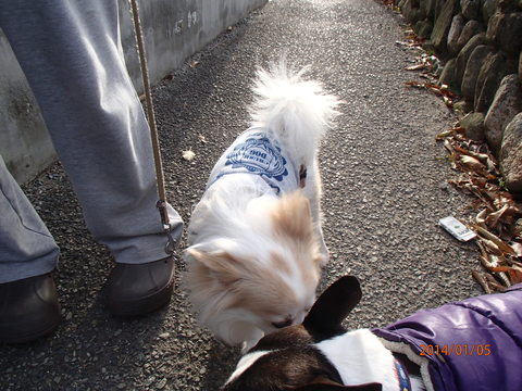 c0165909_1001481.jpg