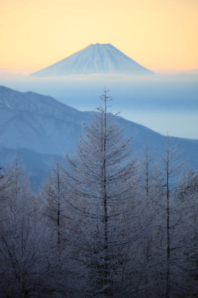 清里より早朝の富士山_d0160611_10455854.png