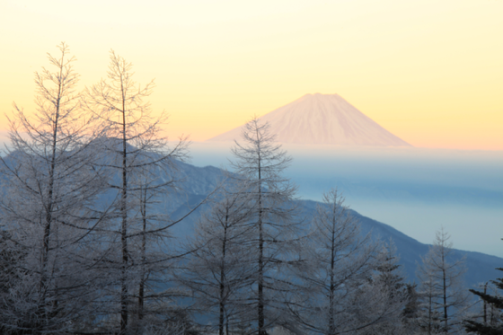 清里より早朝の富士山_d0160611_1047835.png