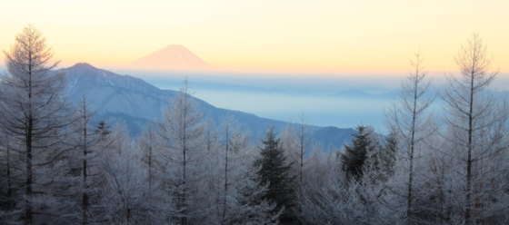 清里より早朝の富士山_d0160611_1047911.png