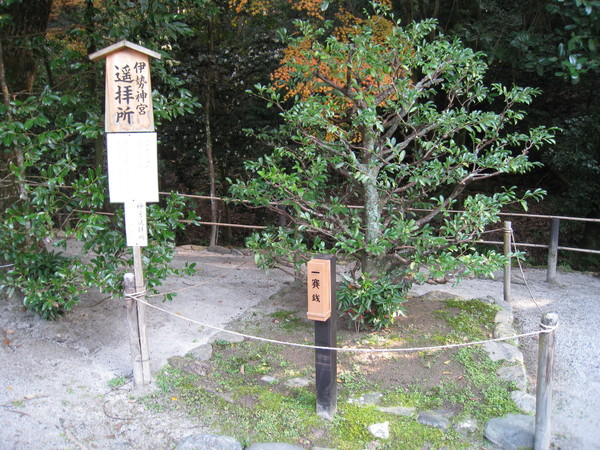 上賀茂神社(かみがもじんじゃ)②_d0287413_1437541.jpg
